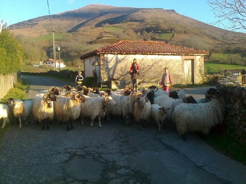 Apartamentos Rurales Kastonea Errazu Bagian luar foto